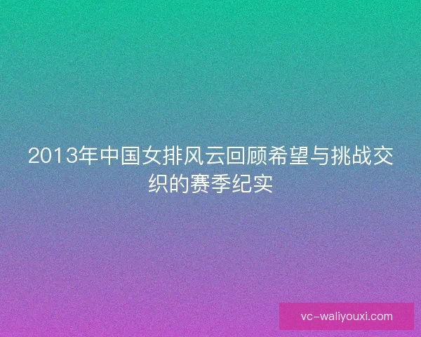 2013年中国女排风云回顾希望与挑战交织的赛季纪实